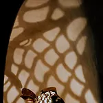 Aura Caves Ξενοδοχείο